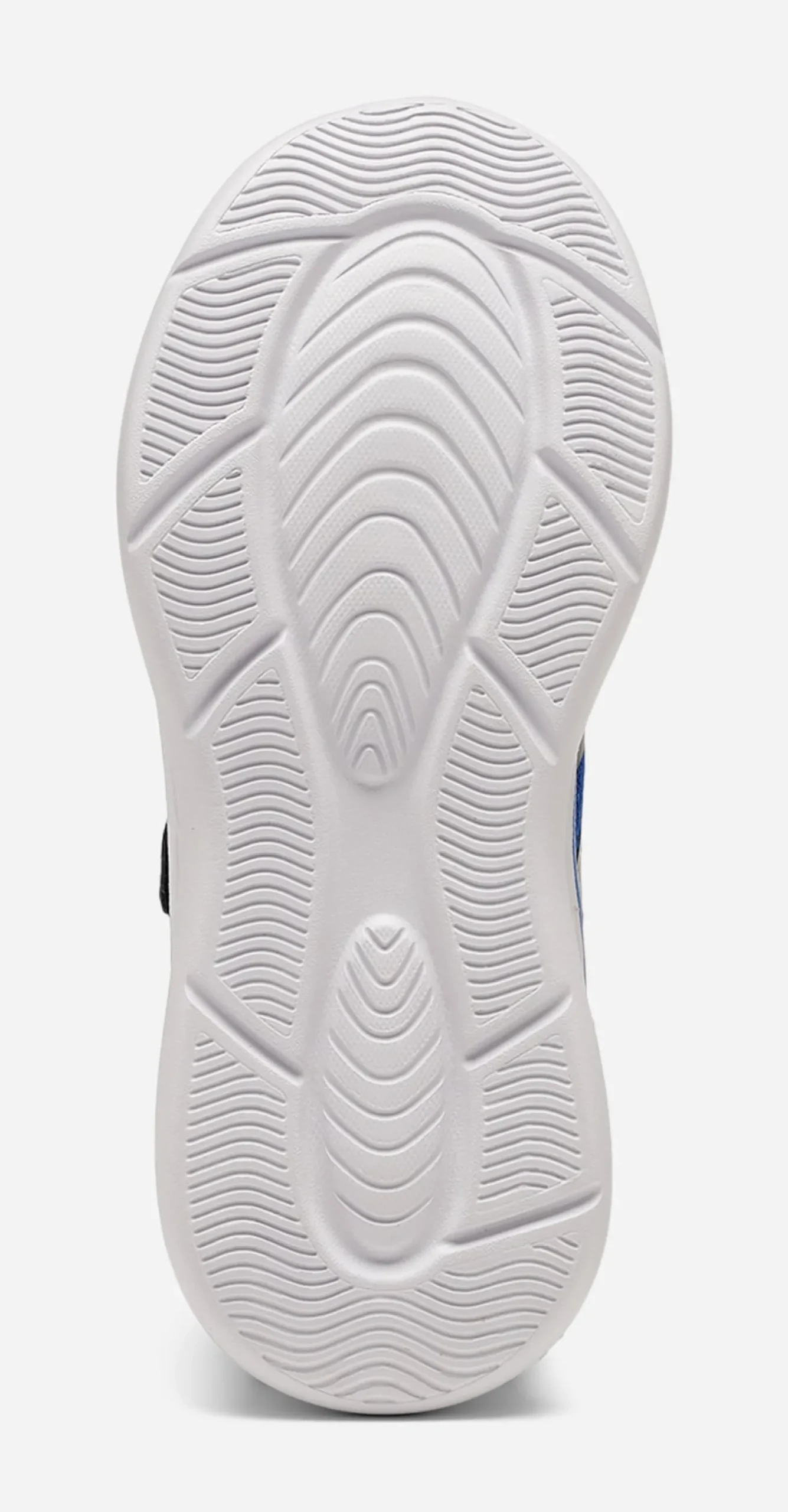 LEJON, Sneakers