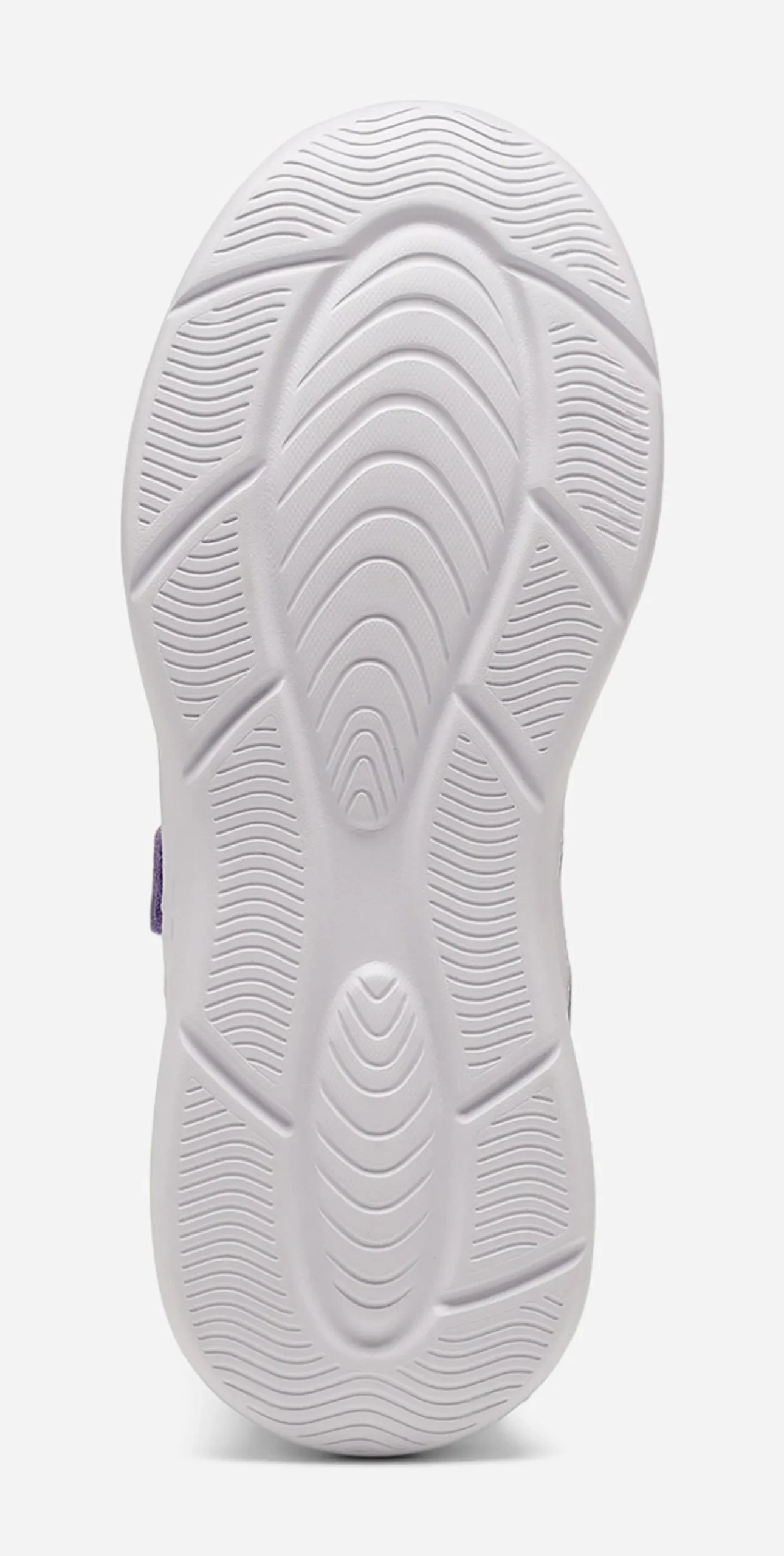 LEJON, Sneakers
