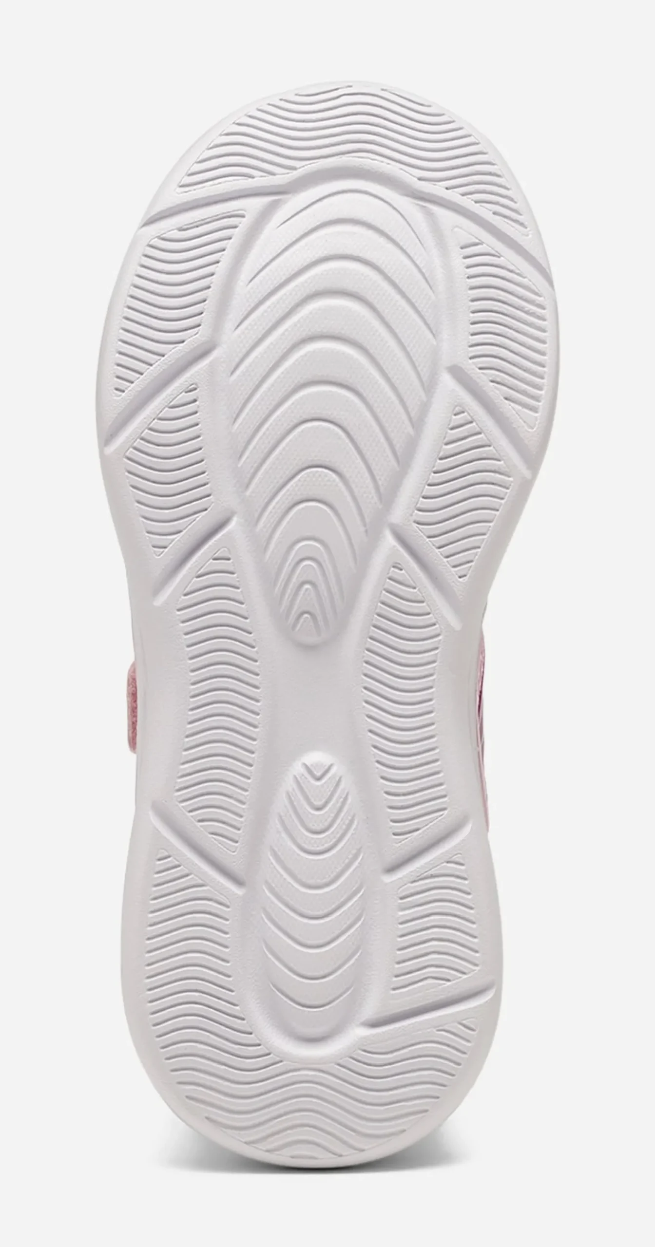 LEJON, Sneakers