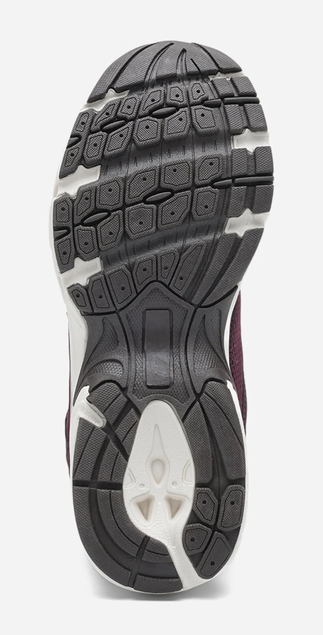 LEJON, Sneakers